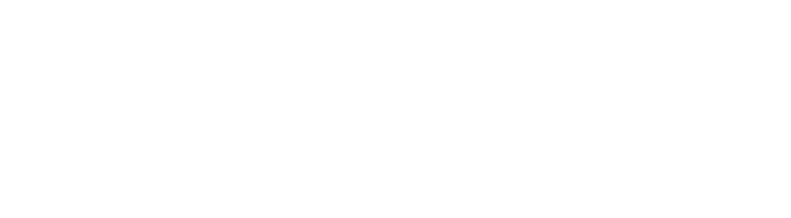 Iliad Media Group Logo